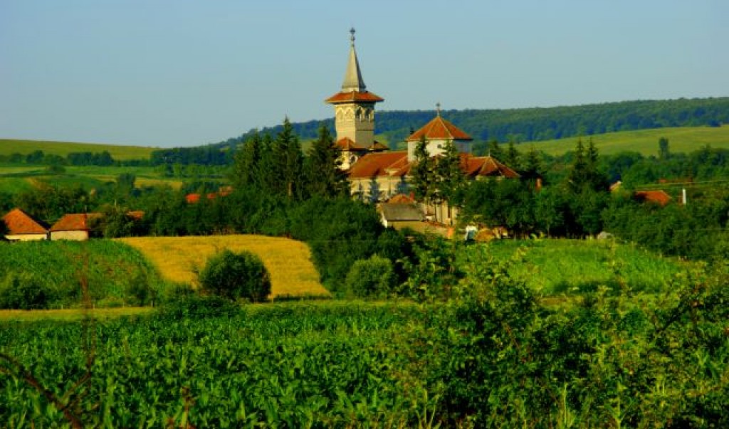 Zdjęcia: Satu Mare, Satu Mare, Satu Mare, RUMUNIA Zdjęcia: Satu Mare, Satu Mare, Satu Mare, RUMUNIA