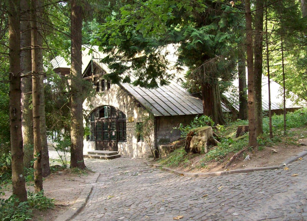 Zdjęcia: Sinaia, Transylwania, leśny zakątek, RUMUNIA Zdjęcia: Sinaia, Transylwania, leśny zakątek, RUMUNIA