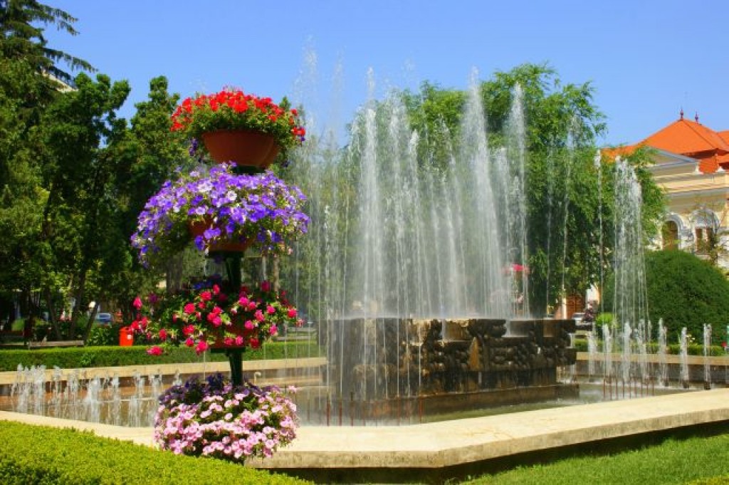 Zdjęcia: Satu Mare, Satu Mare, Satu Mare, RUMUNIA Zdjęcia: Satu Mare, Satu Mare, Satu Mare, RUMUNIA