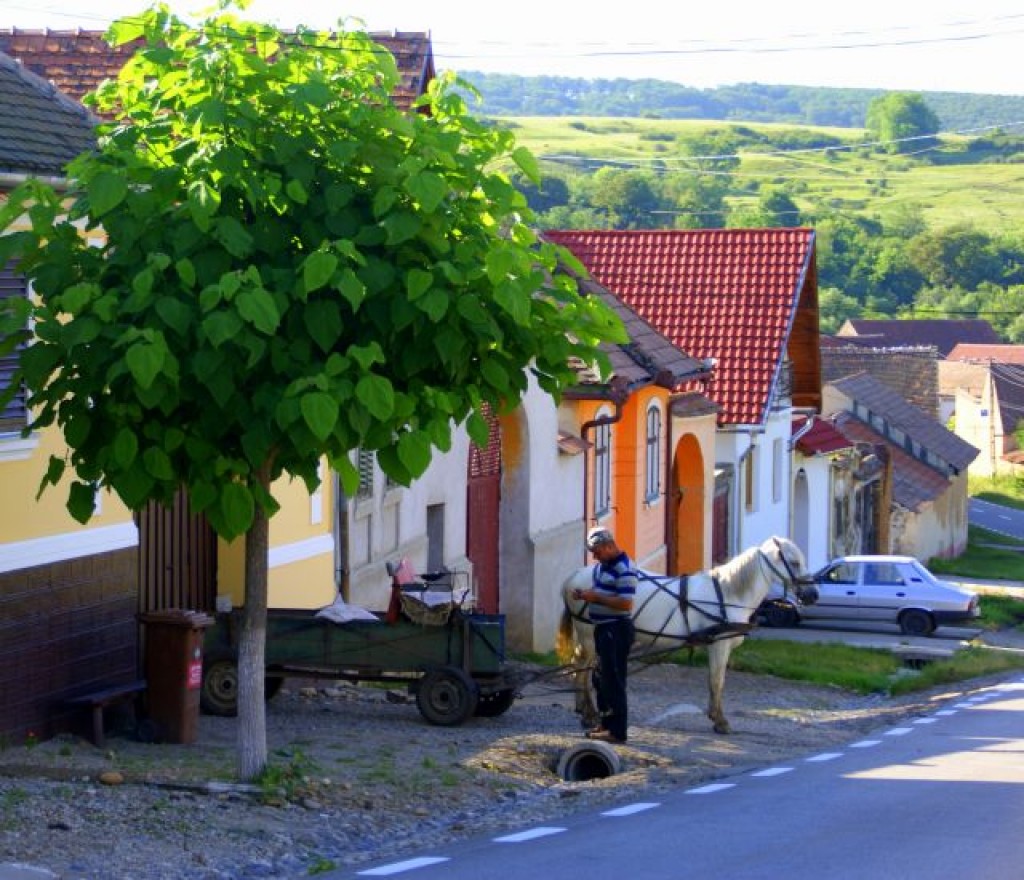 Zdjęcia: Rumunia, Rumunia, Rumunia, RUMUNIA Zdjęcia: Rumunia, Rumunia, Rumunia, RUMUNIA