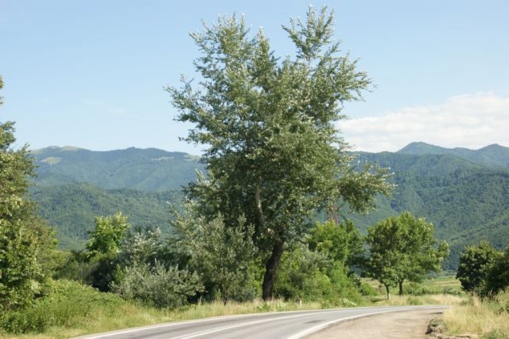 Zdjęcia: Rumunia, Rumunia, Rumunia, RUMUNIA Zdjęcia: Rumunia, Rumunia, Rumunia, RUMUNIA