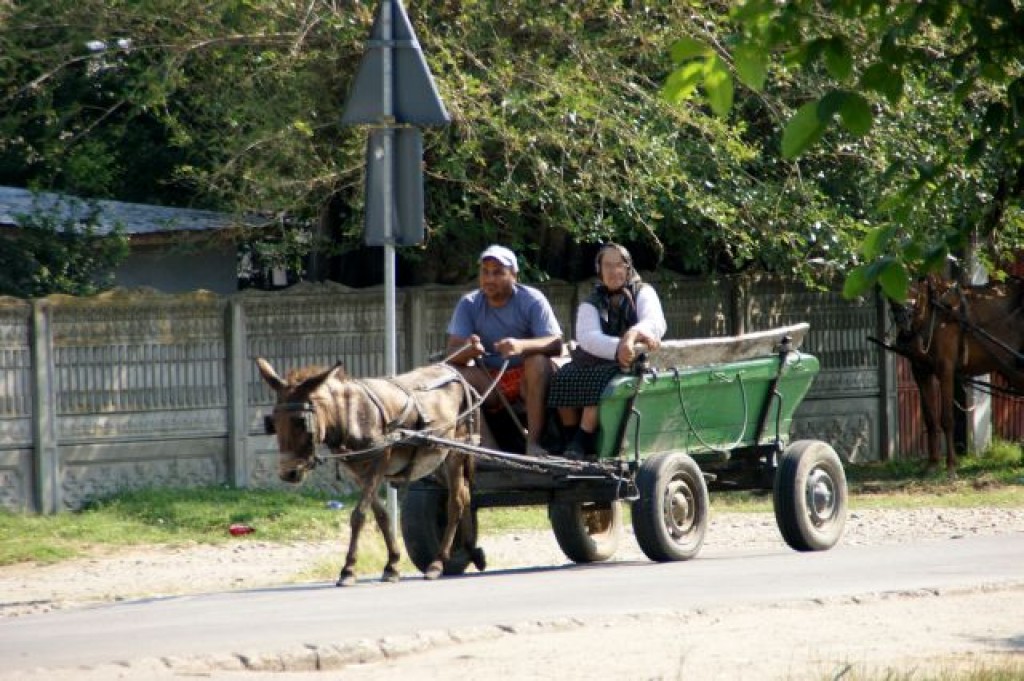Zdjęcia: Rumunia, Rumunia, Rumunia, RUMUNIA Zdjęcia: Rumunia, Rumunia, Rumunia, RUMUNIA