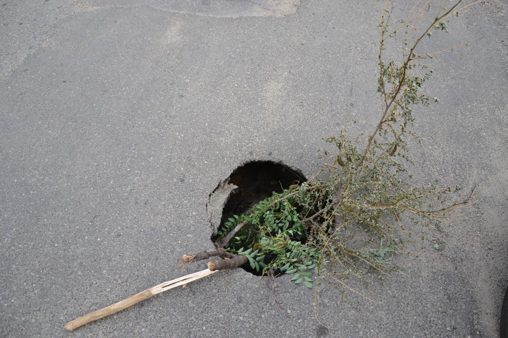 Zdjęcia: rumunia, Maramuresz, Drogi w Rumunii, RUMUNIA Zdjęcia: rumunia, Maramuresz, Drogi w Rumunii, RUMUNIA