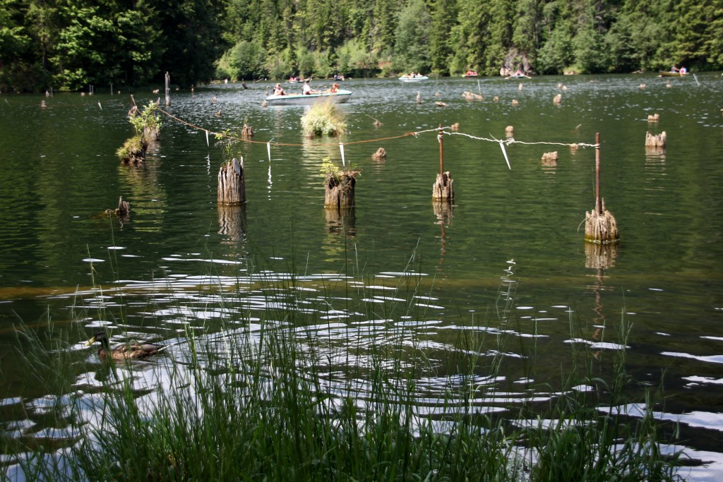 Zdjęcia Jezioro Lacul Rosu Północ Rumuńskie Morskie Oko