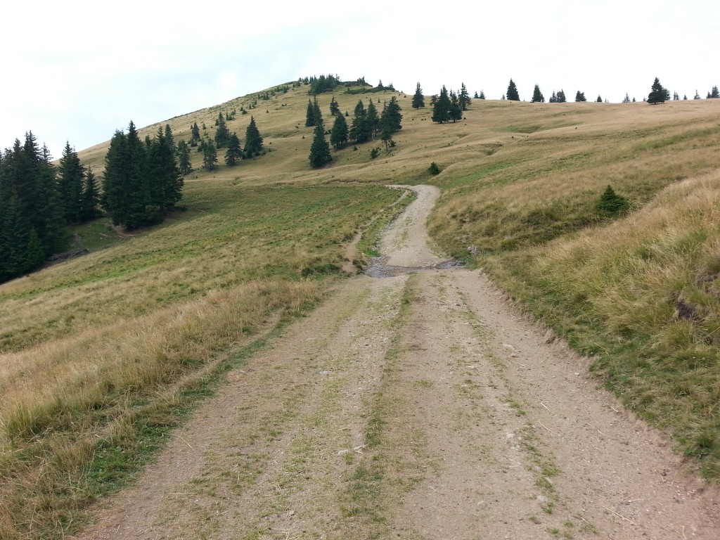 Zdjęcia: Muntii Rodnei, Maramuresz, Połoniny , RUMUNIA Zdjęcia: Muntii Rodnei, Maramuresz, Połoniny , RUMUNIA