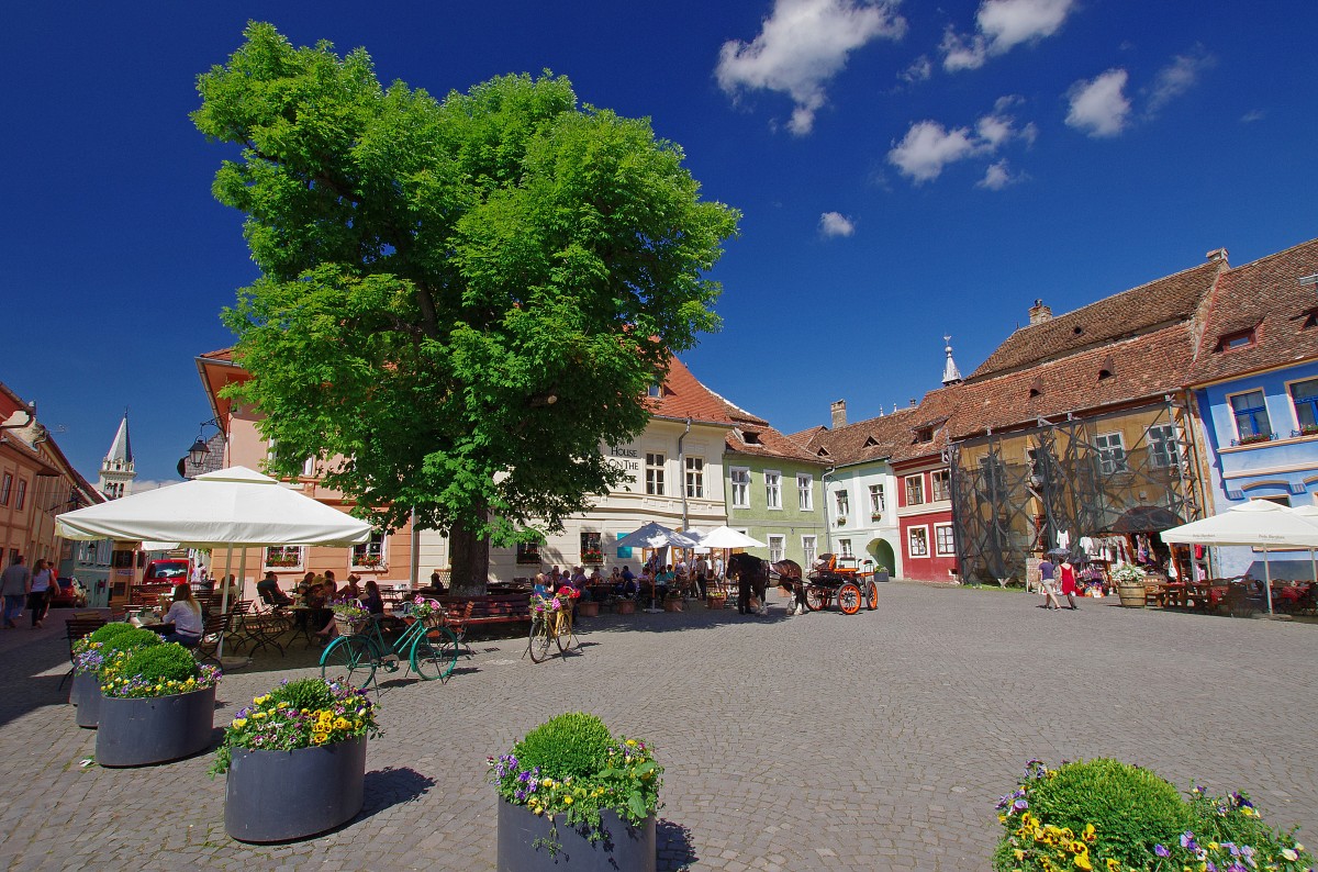 Zdjęcia: Sighishoara, Transylwania, Rynek, RUMUNIA Zdjęcia: Sighishoara, Transylwania, Rynek, RUMUNIA