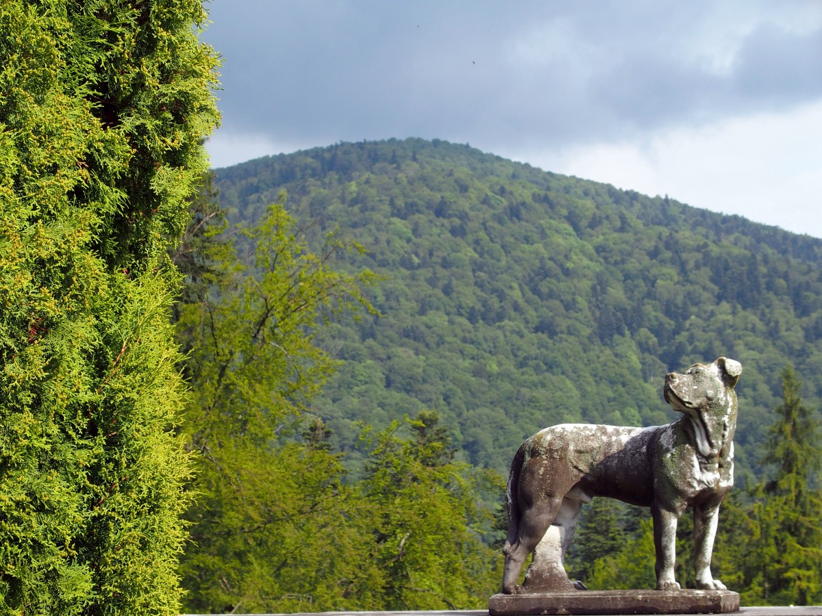 Zdjęcia: Sinaia, Okręg Prahowa, W pałacowym parku, RUMUNIA Zdjęcia: Sinaia, Okręg Prahowa, W pałacowym parku, RUMUNIA