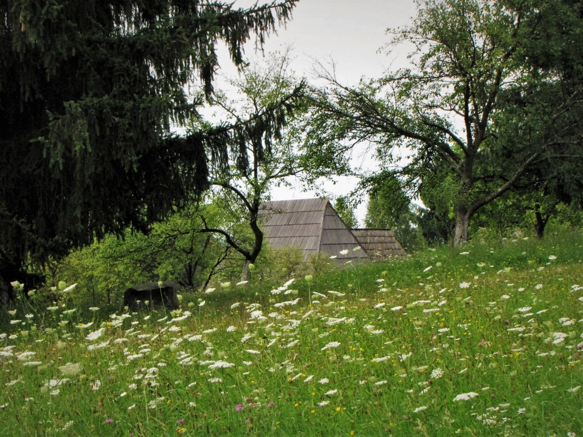 Zdjęcia: Syhot Marmaroski, Marmarosz, Koronka z kwiatów, RUMUNIA Zdjęcia: Syhot Marmaroski, Marmarosz, Koronka z kwiatów, RUMUNIA