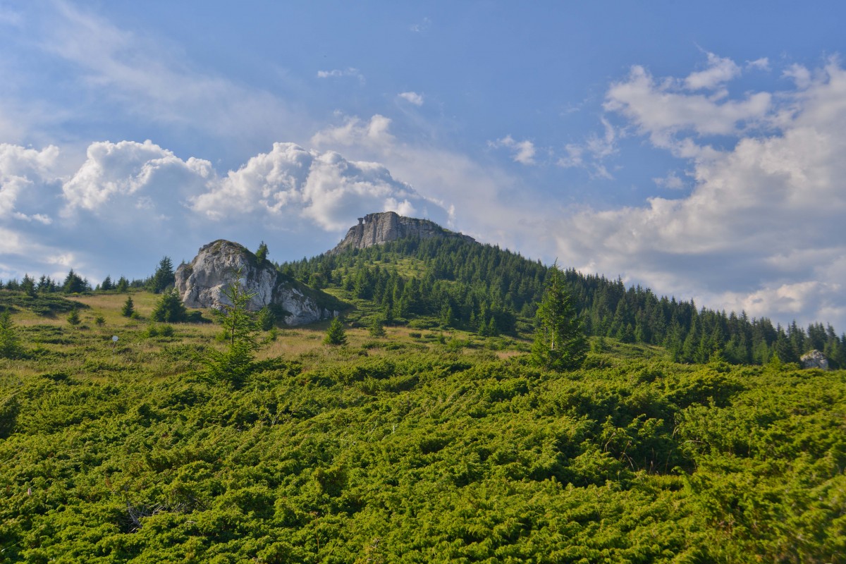 Zdjęcia: Pasmo Cehlau, Karpaty Mołdawskie, Kochajcie góry, są piękne., RUMUNIA Zdjęcia: Pasmo Cehlau, Karpaty Mołdawskie, Kochajcie góry, są piękne., RUMUNIA