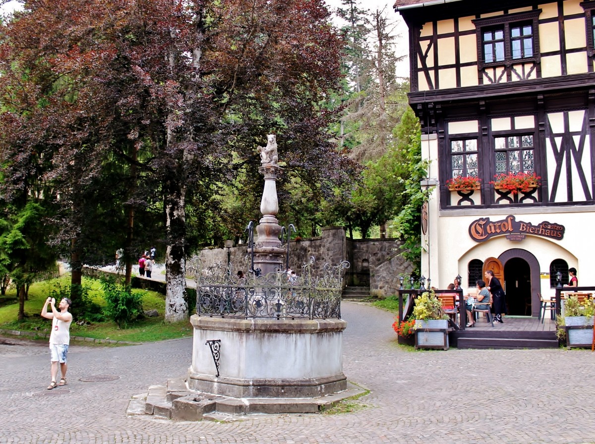 Zdjęcia: Sinaia, Siedmiogród, La Tunuri-Vila Economat, RUMUNIA Zdjęcia: Sinaia, Siedmiogród, La Tunuri-Vila Economat, RUMUNIA