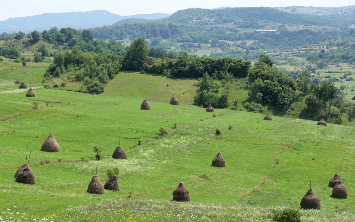 Zdjęcia: Marmarosz, Krajobraz Maramuresz, RUMUNIA Zdjęcia: Marmarosz, Krajobraz Maramuresz, RUMUNIA