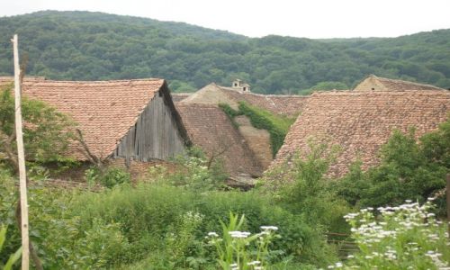 Zdjęcie RUMUNIA / Transylwania / Saschiz / Dachy Saschiz