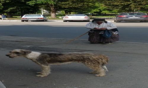 Zdjęcie RUMUNIA / Deva / Deva / Konkurs Twarze świata
