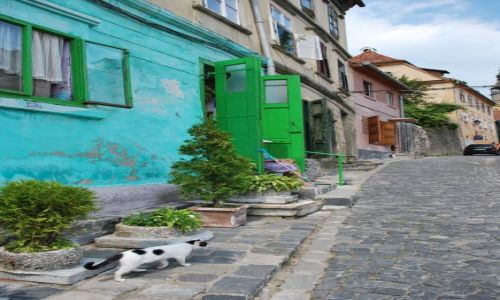 Zdjecie RUMUNIA / Transylwania / Pikne / Kolory miast