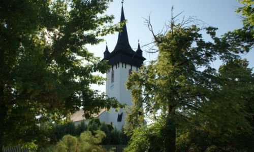 Zdjcie RUMUNIA / Satu  Mare / Satu  Mare / Satu  Mare