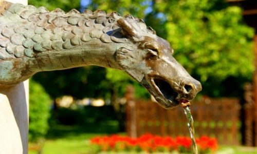 Zdjęcie RUMUNIA / Okolice Satu Mare / Okolice Satu Mare / Okolice Satu Mare