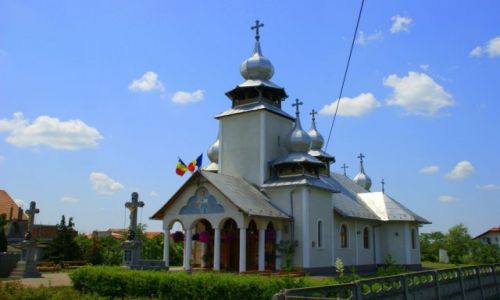 Zdjęcie RUMUNIA / Okolice Satu Mare / Okolice Satu Mare / Okolice Satu Mare