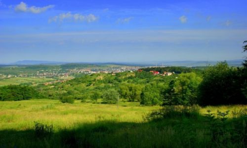 Zdjcie RUMUNIA / Okolice  Satu Mare / Okolice  Satu Mare / Okolice  Satu Mare