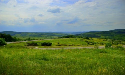 Zdjecie RUMUNIA / Okolice  Satu Mare / Okolice  Satu Mare / Okolice  Satu Mare