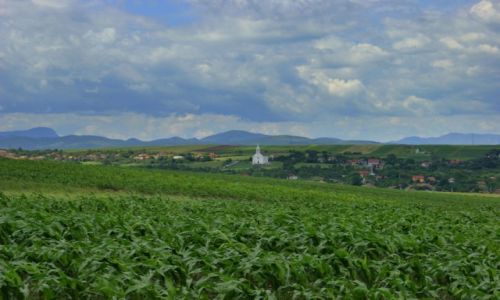 Zdjecie RUMUNIA / Cluj Napoca / Cluj Napoca / Cluj Napoca
