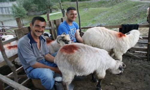 Zdjecie RUMUNIA / Rumunia / Rumunia / Rumunia