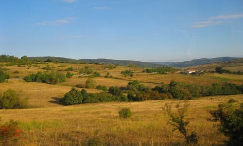 Zdjęcie RUMUNIA / Transylwania / okolice Sighisoary / Krajobraz