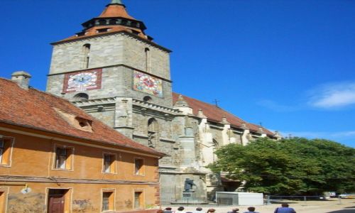 Zdjecie RUMUNIA / Transylwania / Brasov / Czarny koci