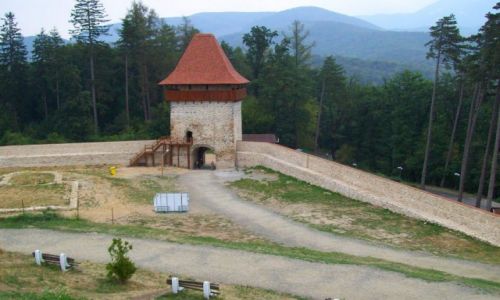 Zdjcie RUMUNIA / Transylwania / Rasnov / na dziedzinicu zamkowym