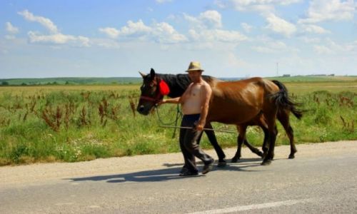 Zdjecie RUMUNIA / Okolice Alba Iulia / Okolice Alba Iulia / Cygan