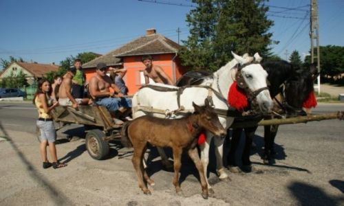 Zdjecie RUMUNIA / Rumunia / Rumunia / Rumunia