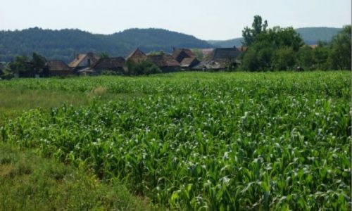 Zdjęcie RUMUNIA /  Rumunia /  Rumunia /  Rumunia