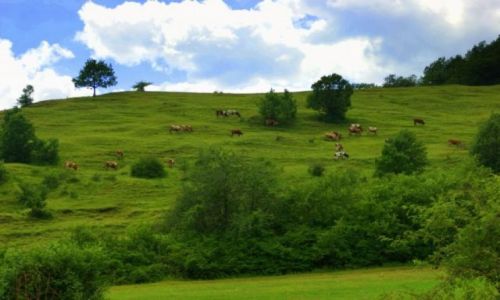 Zdjęcie RUMUNIA / Biela Mare / Biela Mare / Biela Mare
