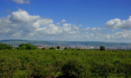 Zdjęcie RUMUNIA / Okolica  Cluj  / Okolica  Cluj  / Okolica  Cluj