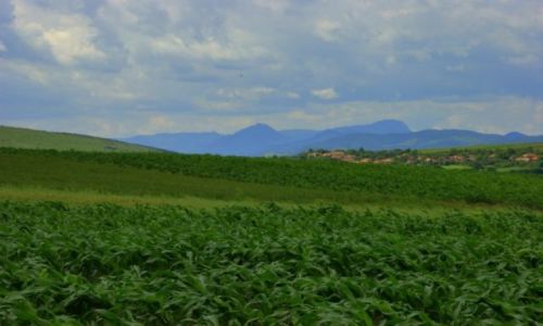 Zdjęcie RUMUNIA / Okolica  Cluj  / Okolica  Cluj  / Okolica  Cluj