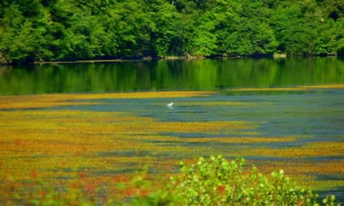 Zdjęcie RUMUNIA / Okolica  Cluj  / Okolica  Cluj  / Okolica  Cluj