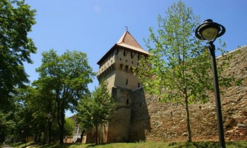 Zdjęcie RUMUNIA / Okolice  Cluj  / Okolice  Cluj  / Okolice  Cluj