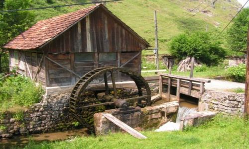 Zdjęcie RUMUNIA / brak / CRAULUI -VLADESA - BIHOR  / Rumunia Trek 2006