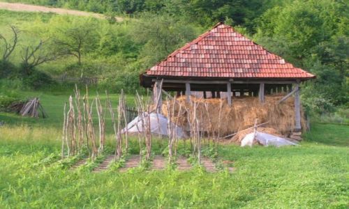 Zdjęcie RUMUNIA / brak / CRAULUI -VLADESA - BIHOR  / Rumunia Trek 2006