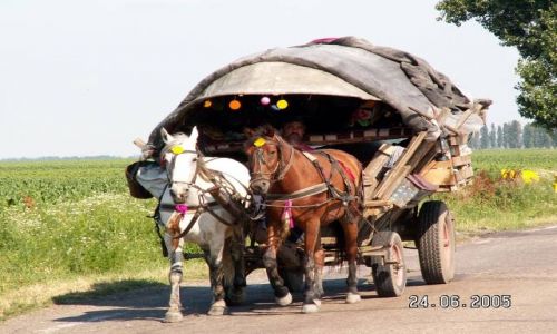 Zdjęcie RUMUNIA / Rumunia / okolice Brasova / Rumuński Cygan