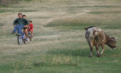 Zdjecie RUMUNIA / Transylwania / Przydrona ka / Dziecica rado