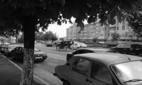 Zdjcie RUMUNIA / Morze czarne / Mangalia / Mangalia