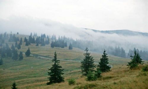 Zdjęcie RUMUNIA / Góry Rodniańskie / Pasul Prislop / Poranek na przełęczy Prislop