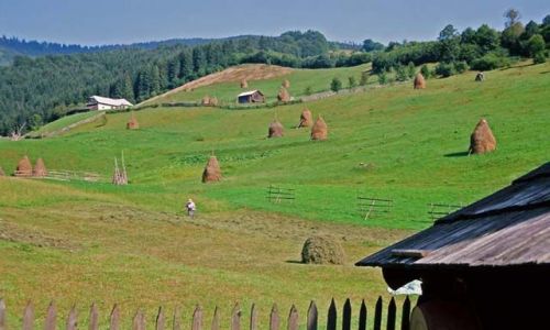 RUMUNIA / Gry Rodniaskie / Valea Secii / W dolinie