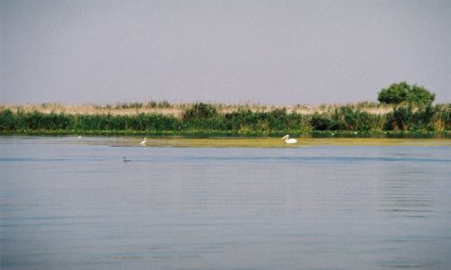 Zdjcie RUMUNIA / DELTA DUNAJU  / DELTA DUNAJU  / DELTA DUNAJU 