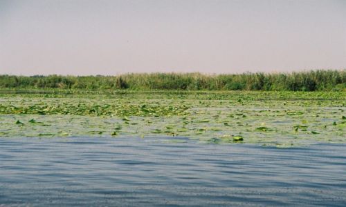Zdjcie RUMUNIA / DELTA DUNAJU  / DELTA DUNAJU  / DELTA DUNAJU 