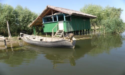 Zdjcie RUMUNIA / DELTA DUNAJU  / DELTA DUNAJU  / DELTA DUNAJU 