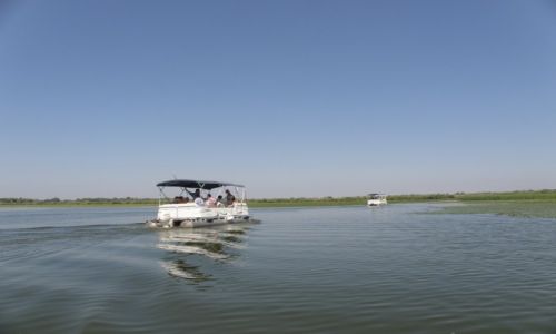 Zdjcie RUMUNIA / DELTA DUNAJU  / DELTA DUNAJU  / DELTA DUNAJU 
