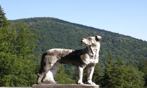Zdjecie RUMUNIA / PRAHOVA  / SINAIA  / PAAC PELES 