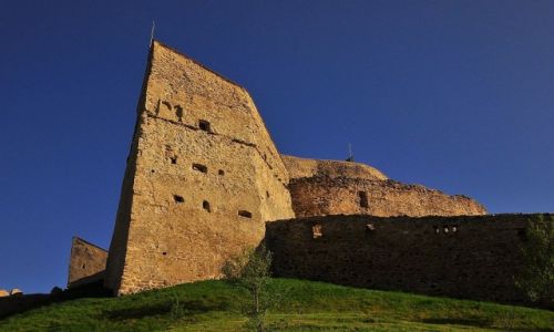 Zdjecie RUMUNIA / Okrg Braszw / Rupea / ywi i broni....