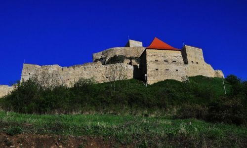 Zdjecie RUMUNIA / Okrg Braszw / Rupea / ywi i broni....